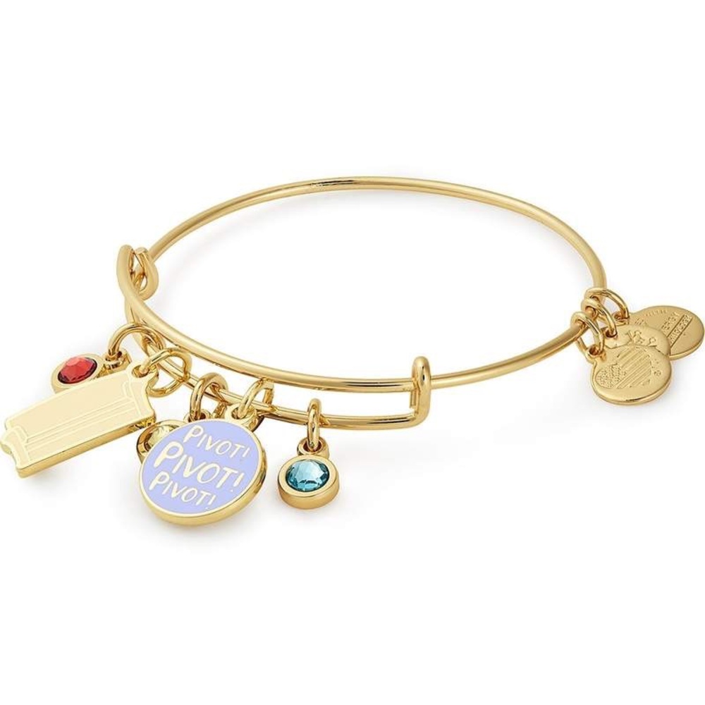Alex and Ani Friends “Pivot!” Couch Bangle